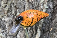 Image 1 of Squarebill Crankbait 7900