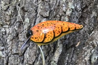 Image 5 of Squarebill Crankbait 7900