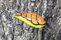 Image 6 of Squarebill Crankbait 7900