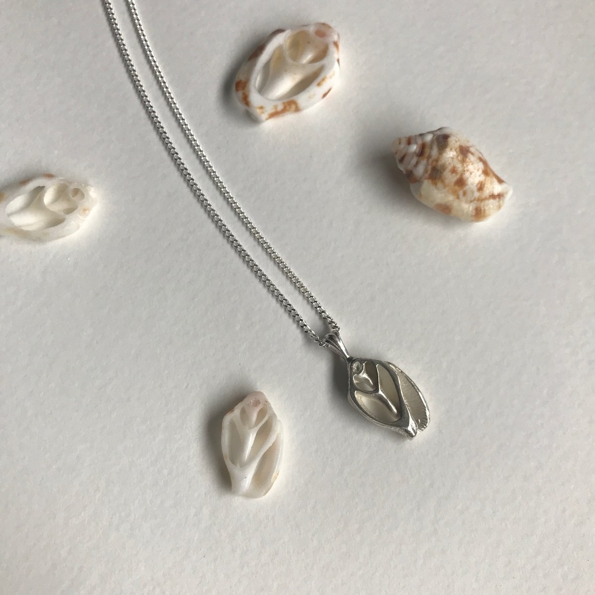 Image of Delia shell necklace