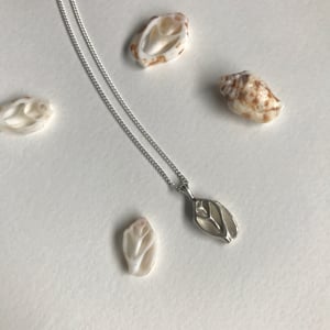 Image of Delia shell necklace