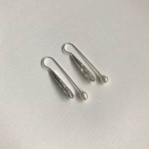 Image of Auger shell earring
