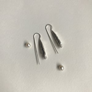Image of Auger shell earring