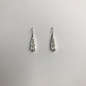Image of Auger shell earring