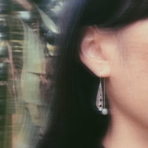 Image of Auger shell earring