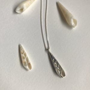 Image of Auger shell necklace