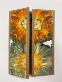 Image 1 of The Handmade Herbarium: Collecting, Printing, and Binding Plant Knowledge