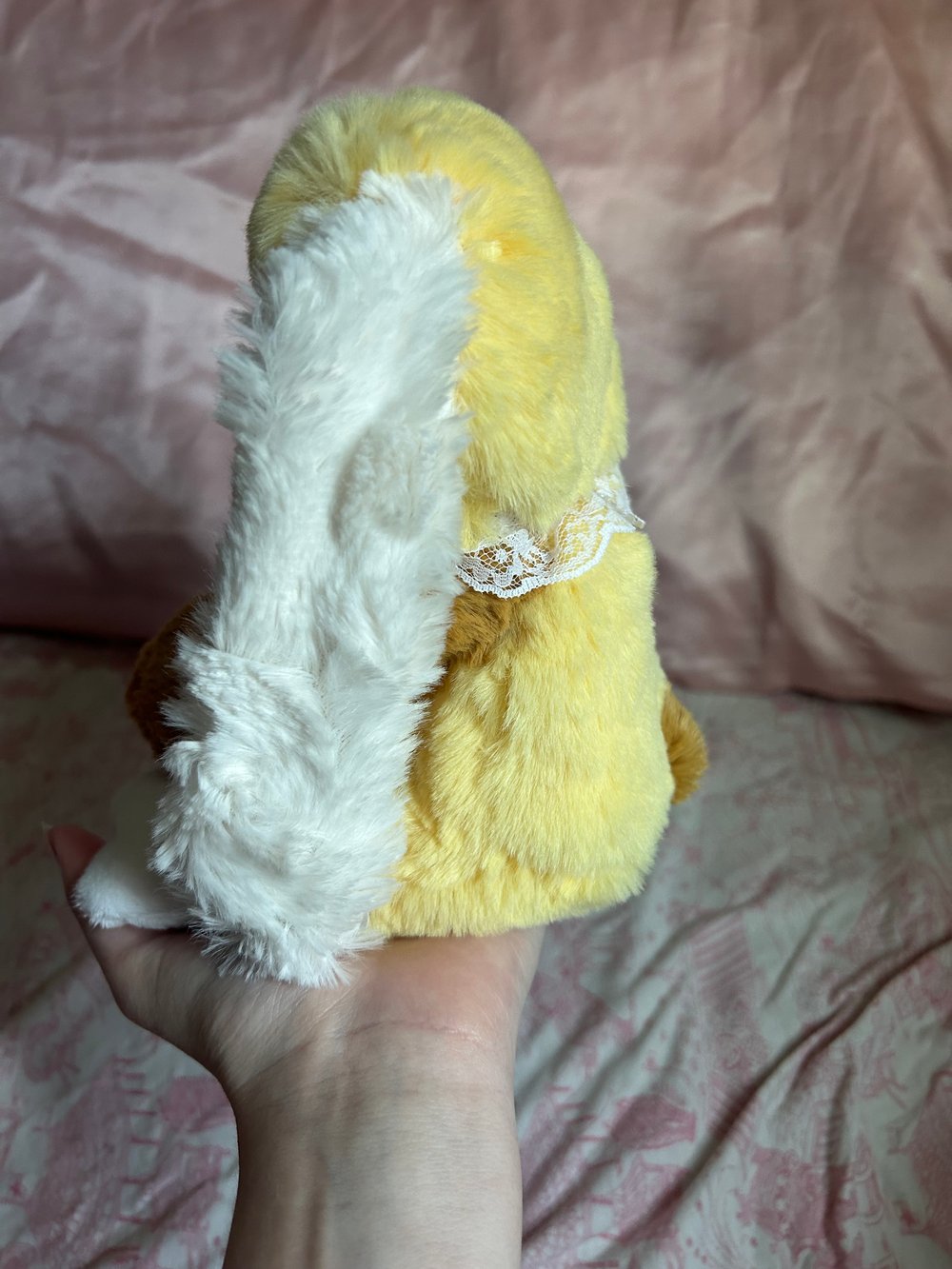 Image of sunny the bunny