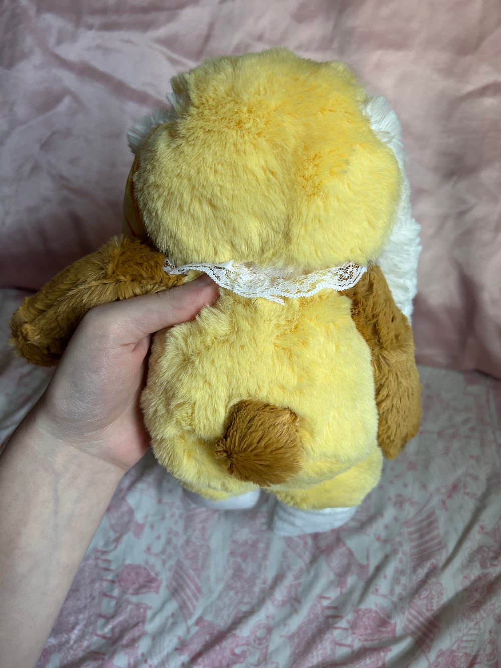 Image of sunny the bunny