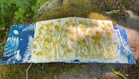 Image 2 of The Handmade Herbarium: Collecting, Printing, and Binding Plant Knowledge
