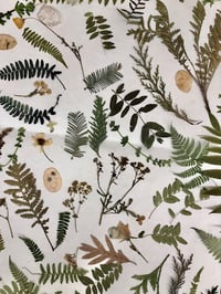 Image 3 of The Handmade Herbarium: Collecting, Printing, and Binding Plant Knowledge