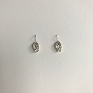 Image of Delia shell earring