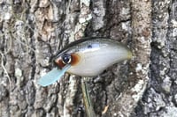Image 3 of Squarebill Blitzit Crankbait 8488