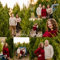 Image 1 of Blue Truck HOWEY-IN-THE-HILLS Misty Mountain Christmas Tree Minis