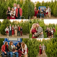 Image 3 of Blue Truck HOWEY-IN-THE-HILLS Misty Mountain Christmas Tree Minis