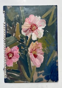 hollyhock