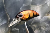 Image 1 of SPEEDBAITS Custom Airbrushed Crankbait 9532