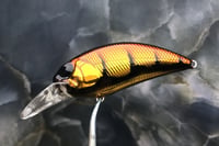 Image 7 of SPEEDBAITS Custom Airbrushed Crankbait 9532