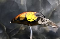 Image 4 of SPEEDBAITS Custom Airbrushed Crankbait 9532