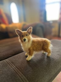Image 3 of 6” Corgi (Free Shipping )