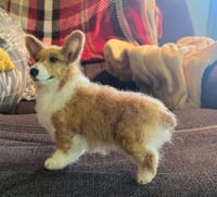 Image 1 of 6” Corgi (Free Shipping )