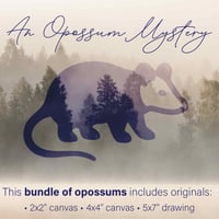 An Opossum Mystery – Bundle of paintings mystery box