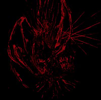 Burier – Wielding Malignity LP