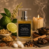 Image 1 of Tenebrae Extrait de Parfum — Small Batch — Melted Wax. Incense. Musk. Smoldering Woods.
