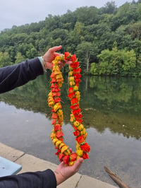 Image 1 of 2 Strand Fresh Flower Lei - Spray Roses