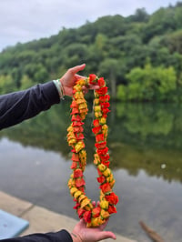 Image 4 of 2 Strand Fresh Flower Lei - Spray Roses