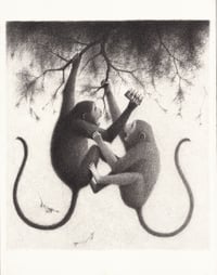 monkeys
