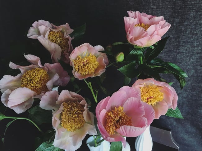 Peony Club - Fri.May29.Pickup