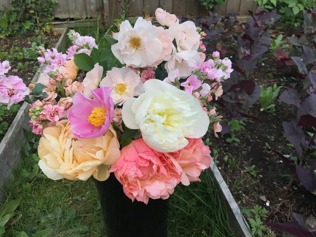 Peony Club - Fri.May29.Pickup