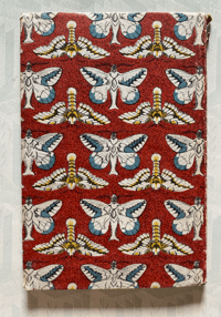 Image 11 of Some British Moths vintage King Penguin book 