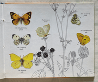 Image 4 of Butterflies: A Puffin Picture Book