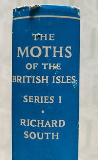 Image 2 of The Moths of the British Isles (I)