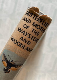 Image 2 of Butterflies & Moths of the Wayside and Woodland