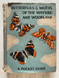 Image 1 of Butterflies & Moths of the Wayside and Woodland