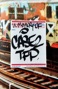 Case2 zine