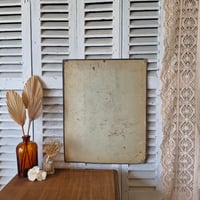 Image 3 of LA PLANCHE BOTANIQUE DEYROLLE