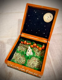 Image 2 of Trick or Treat Surprise Trinket Box