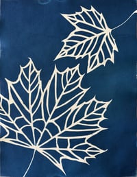 Cyanotype Fall leaves I