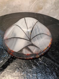 Image 2 of Eruption fracture bowl
