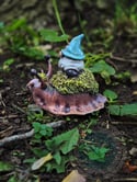 Jerry Forest Snail