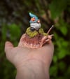 Jerry Forest Snail