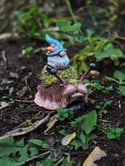 Jerry Forest Snail
