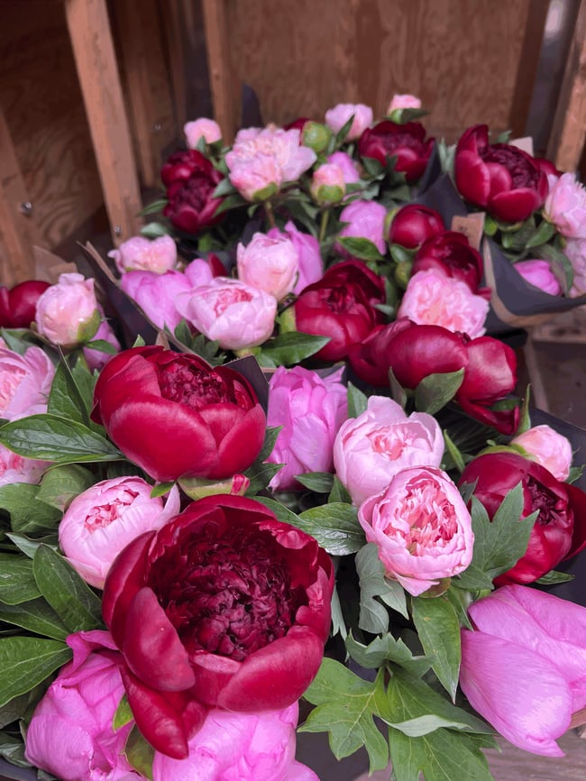 Peony Club - Fri.June.12 Pickup