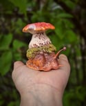 Flo Forest Snail 