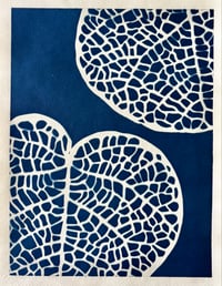Image 1 of Cyanotype Sea Grape II