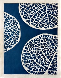Image 1 of Cyanotype Sea Grape I 